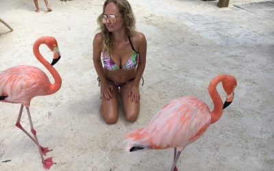 Gary and Anna took an 11-day cruise from New York City through Aruba, Curacao, Bonaire and Miami on October 26, 2017